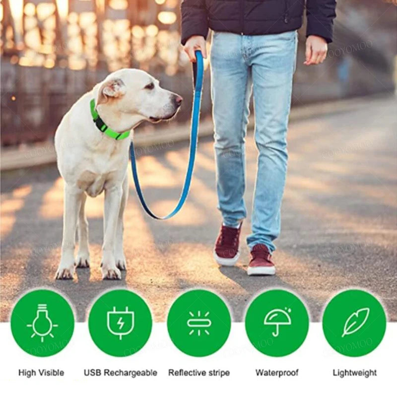 LED Glow Dog Collar โ USB Rechargeable Light-Up Safety Collar for Dogs & Puppies (Adjustable & Waterproof)