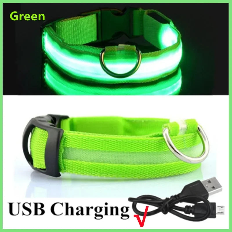 LED Glow Dog Collar โ USB Rechargeable Light-Up Safety Collar for Dogs & Puppies (Adjustable & Waterproof)