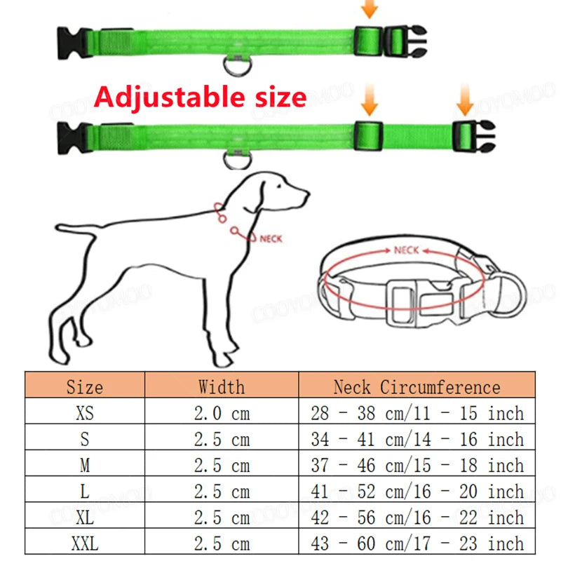LED Glow Dog Collar – USB Rechargeable Light-Up Safety Collar for Dogs & Puppies (Adjustable & Waterproof)