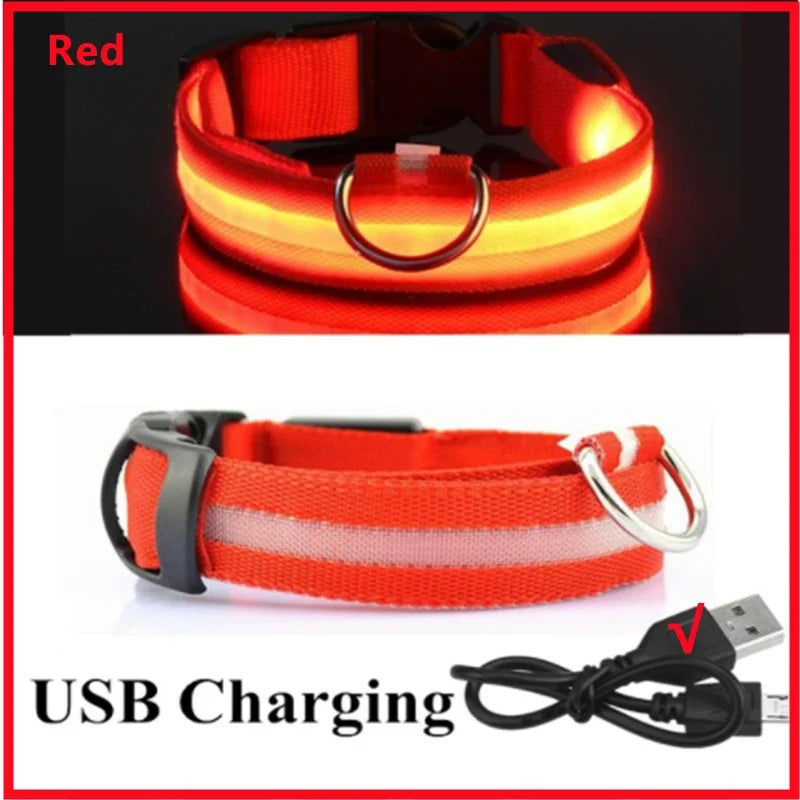 LED Glow Dog Collar – USB Rechargeable Light-Up Safety Collar for Dogs & Puppies (Adjustable & Waterproof)