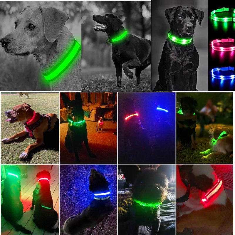 LED Glow Dog Collar – USB Rechargeable Light-Up Safety Collar for Dogs & Puppies (Adjustable & Waterproof)