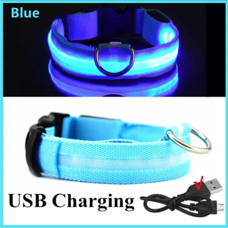 LED Glow Dog Collar – USB Rechargeable Light-Up Safety Collar for Dogs & Puppies (Adjustable & Waterproof)