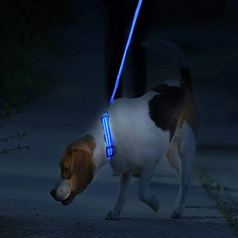 LED Glow Dog Collar – USB Rechargeable Light-Up Safety Collar for Dogs & Puppies (Adjustable & Waterproof)
