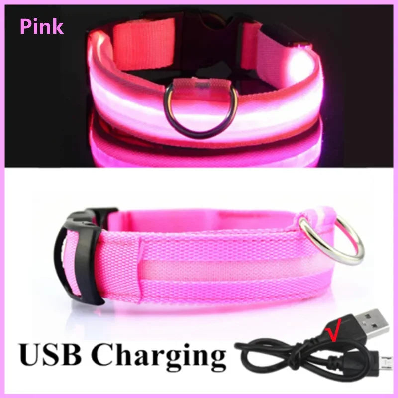LED Glow Dog Collar – USB Rechargeable Light-Up Safety Collar for Dogs & Puppies (Adjustable & Waterproof)