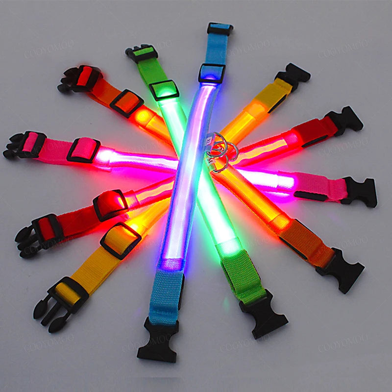 LED Glow Dog Collar – USB Rechargeable Light-Up Safety Collar for Dogs & Puppies (Adjustable & Waterproof)