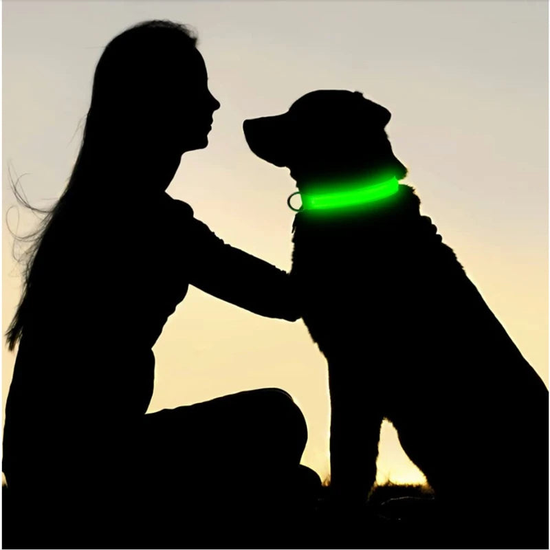 LED Glow Dog Collar – USB Rechargeable Light-Up Safety Collar for Dogs & Puppies (Adjustable & Waterproof)