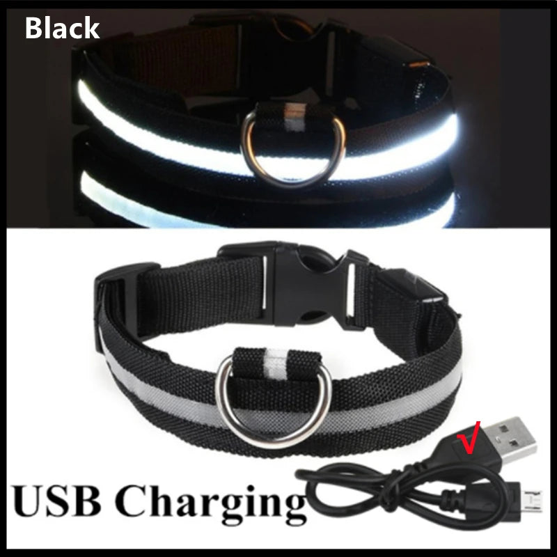 LED Glow Dog Collar – USB Rechargeable Light-Up Safety Collar for Dogs & Puppies (Adjustable & Waterproof)