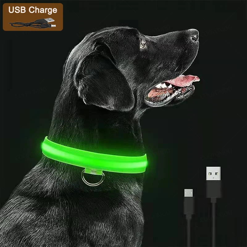 LED Glow Dog Collar – USB Rechargeable Light-Up Safety Collar for Dogs & Puppies (Adjustable & Waterproof)
